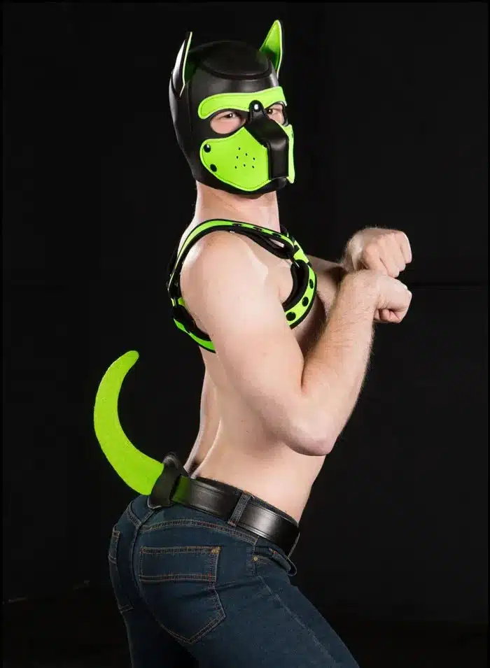Mr. S Leather Woofy Show Tail Color