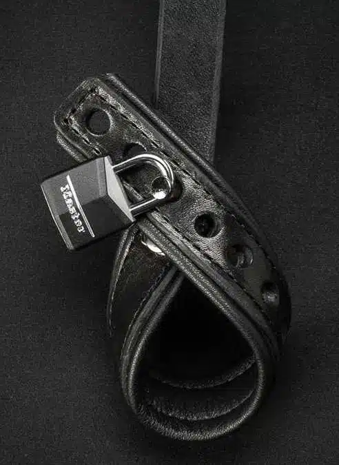 Mr. S Leather Wrist to Ball Restraint