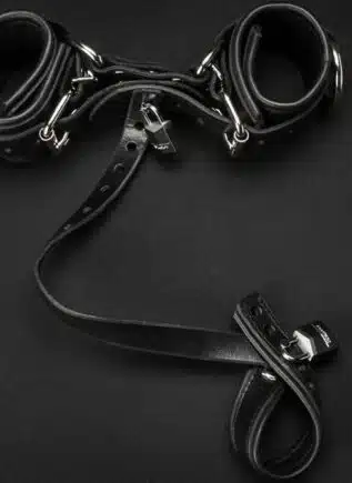 Mr. S Leather Wrist to Ball Restraint