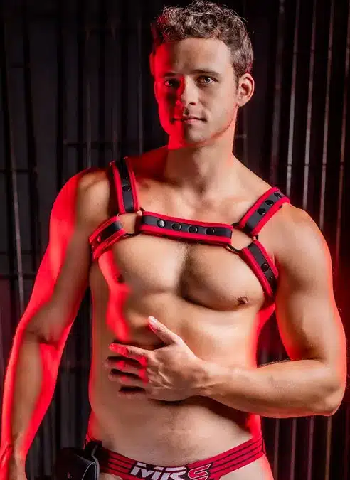 Mr. S Neo Carbon Black Bulldog Harness Red