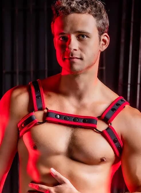 Mr. S Neo Carbon Black Bulldog Harness Red