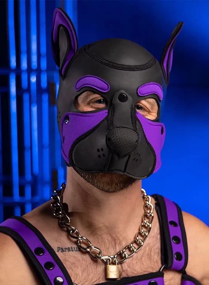 Mr. S Neo Frisky Pup Hood Purple