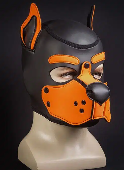 Mr. S Neo K9 Hood Orange