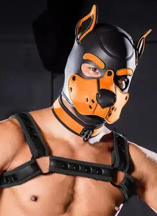 Mr. S Neo K9 Hood Orange