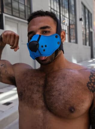 Mr. S Neo Open Face Harness