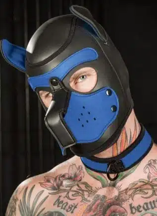 Mr. S Neoprene Puppy Collar Cobalt blue