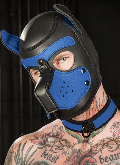 Mr. S Neoprene Puppy Collar Cobalt blue