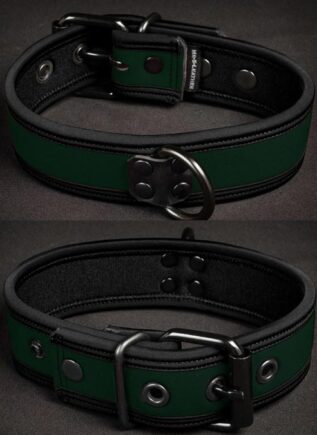 Mr. S Neoprene Puppy Collar Hunter