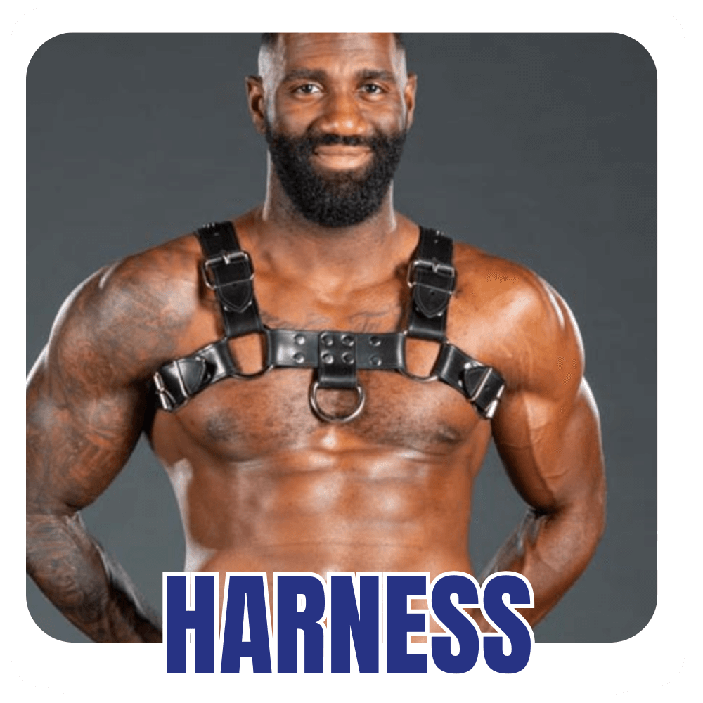 Harness