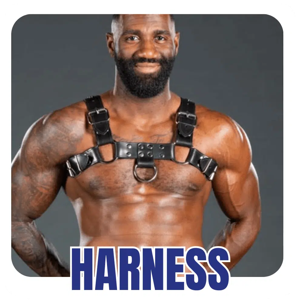 Harness