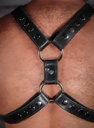 Mr. S Leather English Top Buckle Harness Latigo Leather
