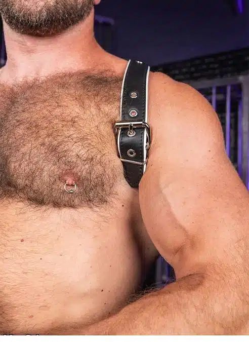 Mr. S Leather Cadet Shoulder Harness - available in 5 colors