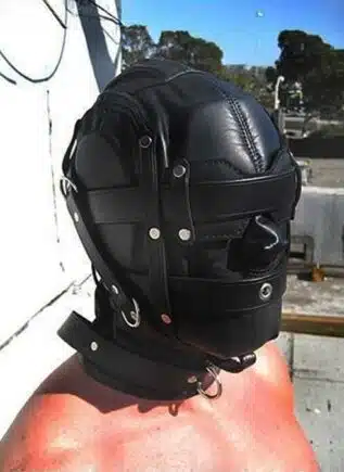 Mr. S Leather Heavy Duty Hood with Triple Straps