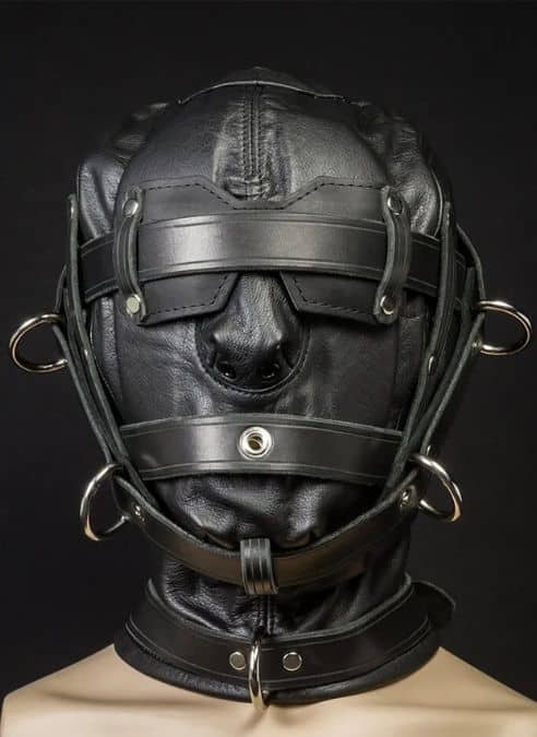 Mr. S Leather Heavy Duty Hood with Triple Straps