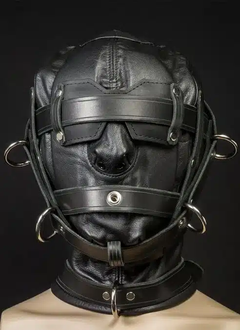 Mr. S Leather Heavy Duty Hood with Triple Straps