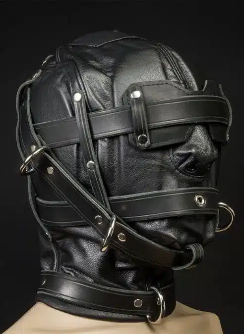 Mr. S Leather Heavy Duty Hood with Triple Straps