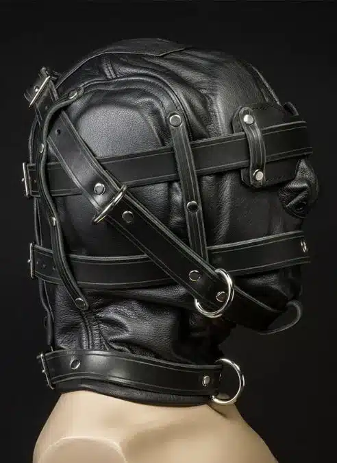 Mr. S Leather Heavy Duty Hood with Triple Straps