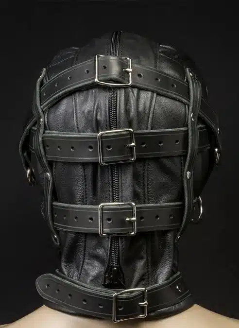 Mr. S Leather Heavy Duty Hood with Triple Straps