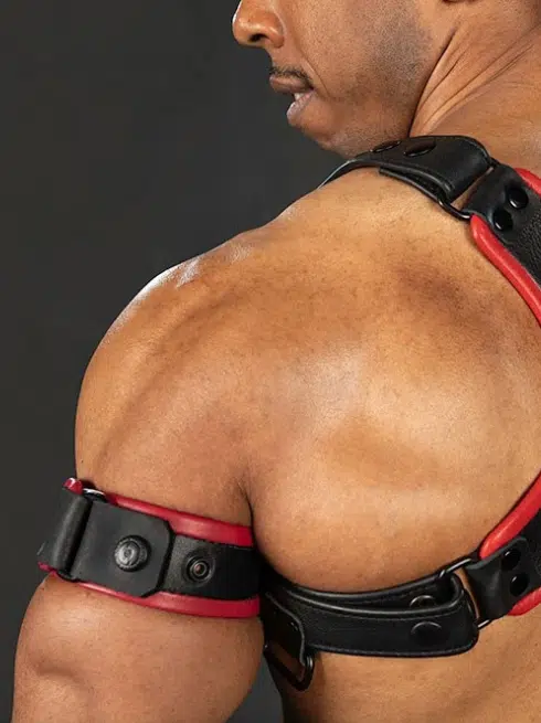 Mr. S Leather Centurion Armband