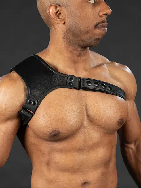 Mr. S Leather Centurion Shoulder Harness - available in 4 colors