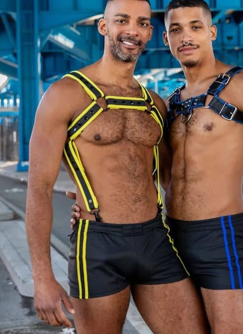 Mr. S Leather FuckGear Sport Shorts - available in 5 colors