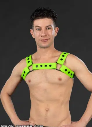 Mr. S Slick Silicone Bulldog Harness - available in 6 colors