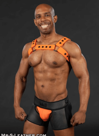 Mr. S Slick Silicone Bulldog Harness - available in 6 colors