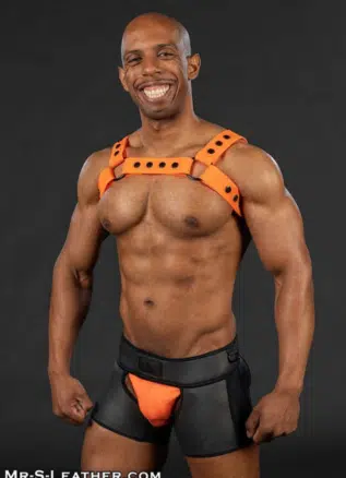 Mr. S Slick Silicone Bulldog Harness - available in 6 colors