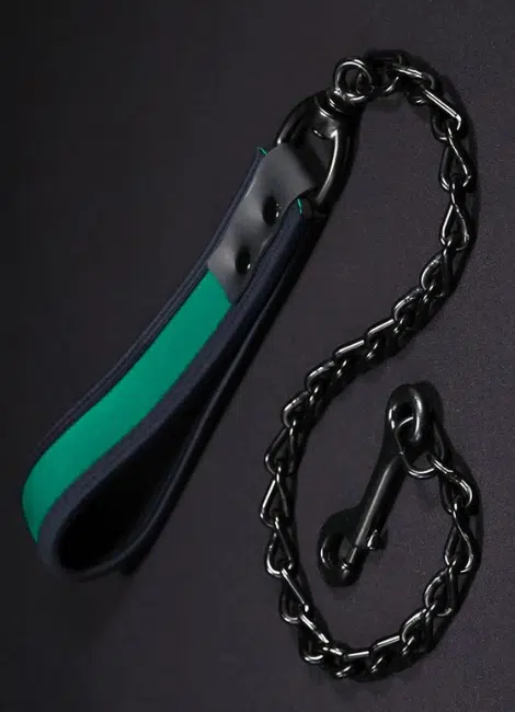 Neoprene Puppy Leash - 16 Colors