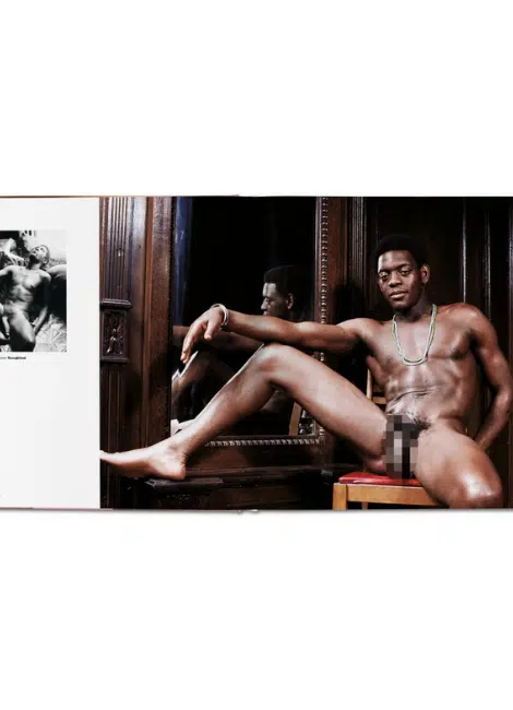 Taschen Verlag The Big Penis Book