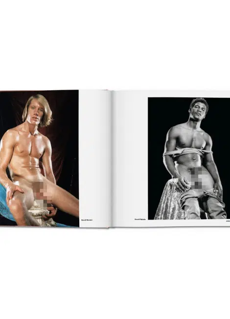 Taschen Verlag The Big Penis Book