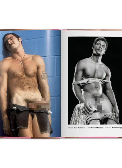Taschen Verlag The Little Big Penis Book