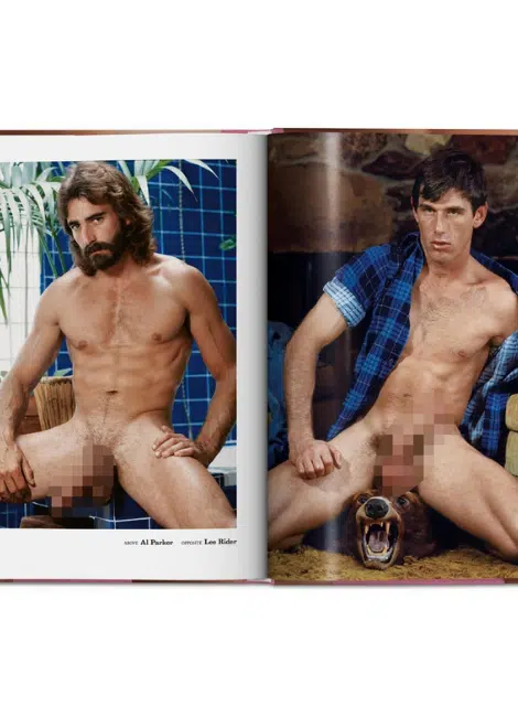 Taschen Verlag The Little Big Penis Book