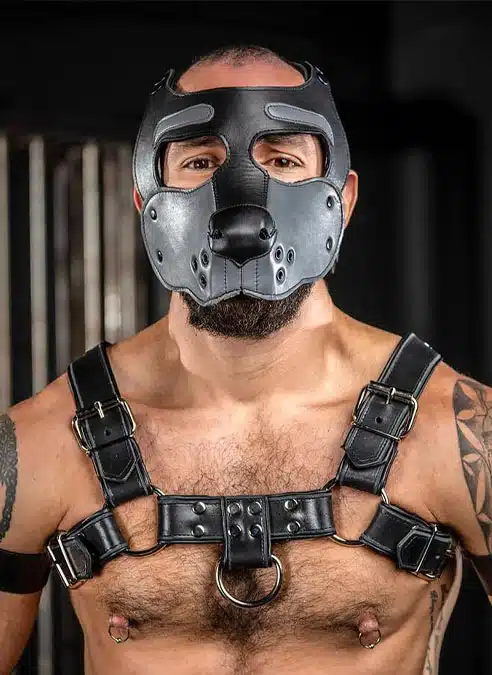 Mr. S Leather Bone Hound Puppy Muzzle Grey