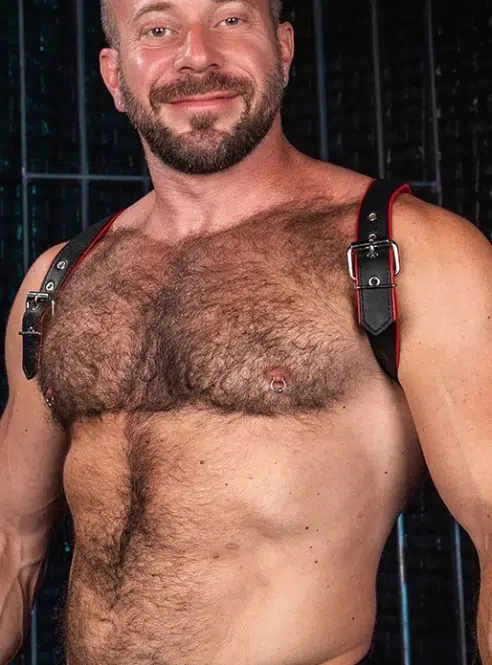 Mr. S Leather Cadet Shoulder Harness - available in 5 colors
