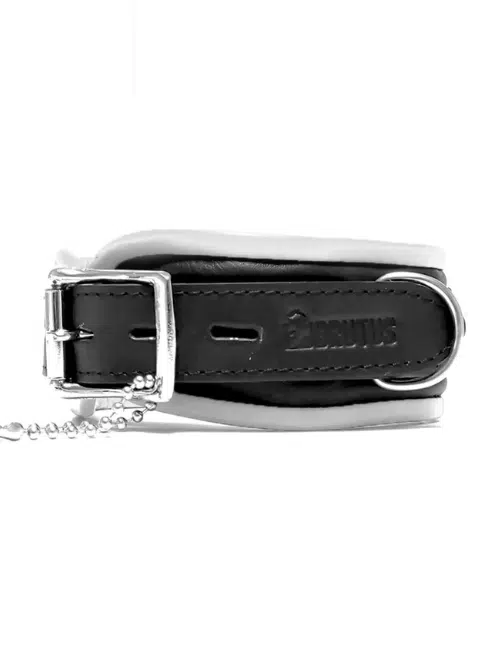 Brutus Leather Collar - Available in 4 colors