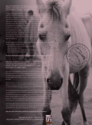Calendar 2027 Horse and Hunk