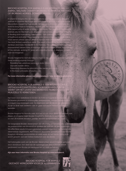 Calendar 2027 Horse and Hunk