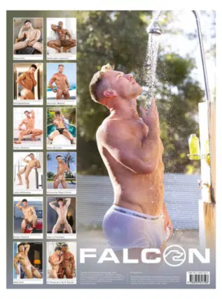 Calendar 2027 The Men of Falcon