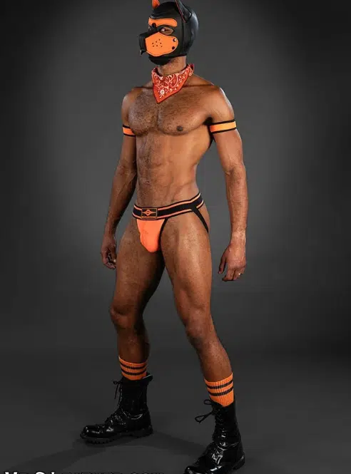 Mr. S Bold Color Jockstrap