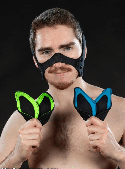 Mr. S Neoprene K9 Ears Only - 16 colors
