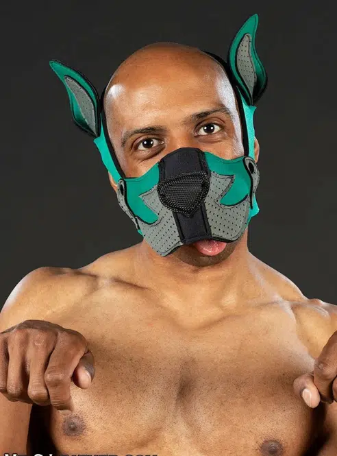 Mr. S Neoprene K9 Muzzle Kit - Build Your Own