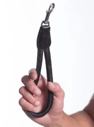 665 Leather short Leash