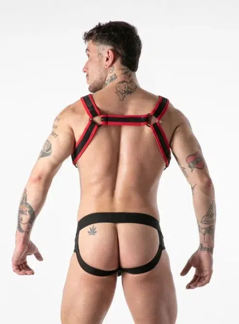 Full Military Acess Harness - Available in 3 colors