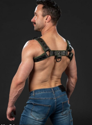 Mr. S Leather Dark Room Bulldog - Custom