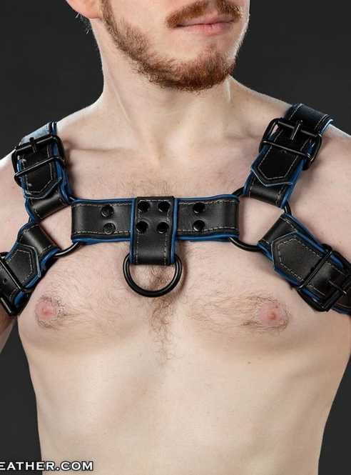 Mr. S Leather Dark Room Bulldog - Custom