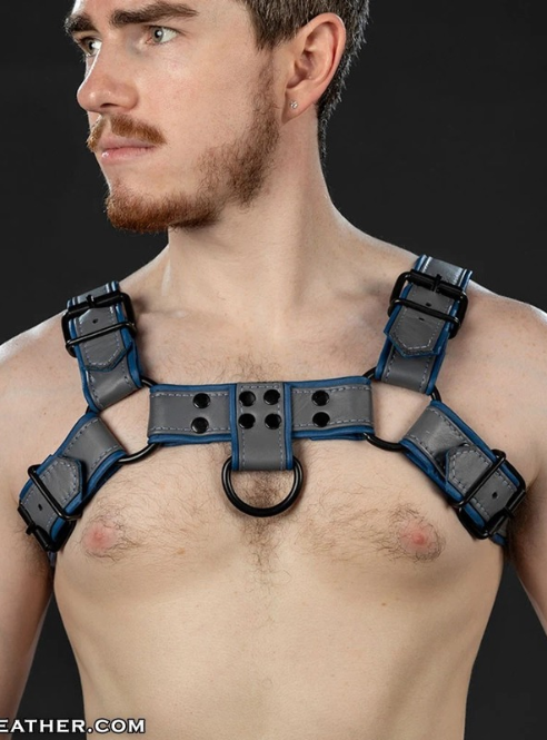 Mr. S Leather Dark Room Bulldog - Custom
