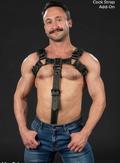 Mr. S Leather Dark Room Bulldog - Custom