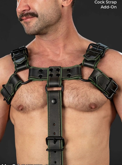 Mr. S Leather Dark Room Bulldog - Custom