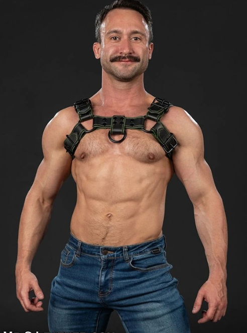Mr. S Leather Dark Room Bulldog - Custom